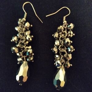 Beaded Dangly Earrings